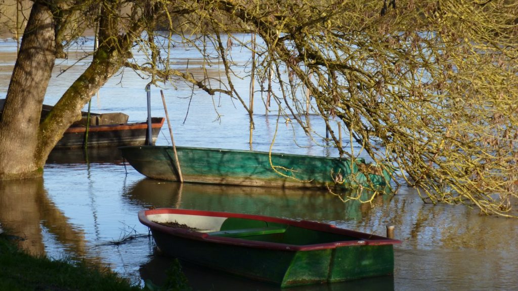 barques 16-9